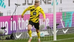 Erling Haaland (Bild: GEPA )