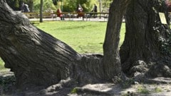 Im April war ein Mann im Wiener Stadtpark (Bild) ausgeraubt worden. Nun hat die Polizei drei ...