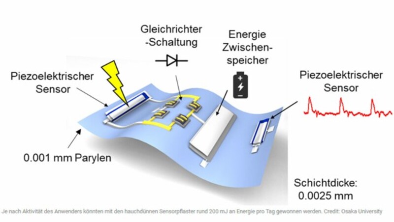 (Bild: Osaka University/Joanneum Research)