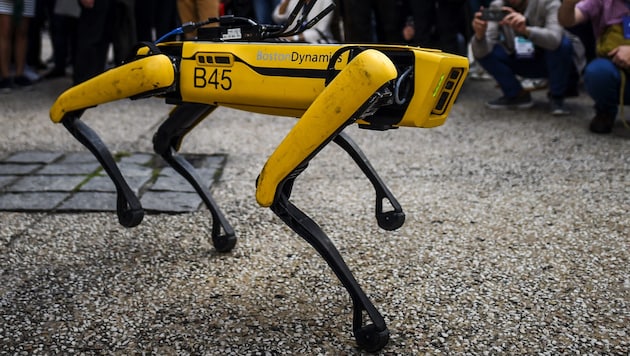 Der Roboterhund „Spot“ vom US-Hersteller Boston Dynamics (Bild: AFP)