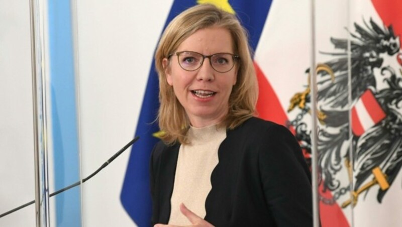 Leonore Gewessler (Bild: APA/HELMUT FOHRINGER)