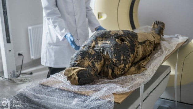 (Bild: APA/AFP/Warsaw Mummy Project)