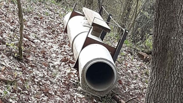 In diese Falle verirrte sich der Kater. Anrainer sind besorgt, dass weitere Tiere in die Falle geraten könnten und dort im schlimmsten Fall verenden. (Bild: zVg)