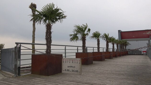 Das Lokal Mole West in Neusiedl am See ist ein Anziehungspunkt für viele Segler und Touristen. (Bild: Alexander Bischofberger-Mahr)