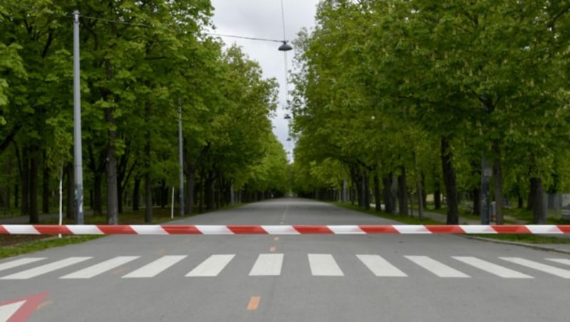 Die Prater Hauptallee wurde wegen des Sturms gesperrt. (Bild: APA/HANS PUNZ)