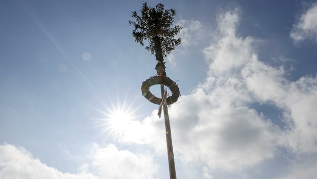 In Eugendorf hingegen lief das Aufstellen problemlos ab. (Bild: Tschepp Markus)