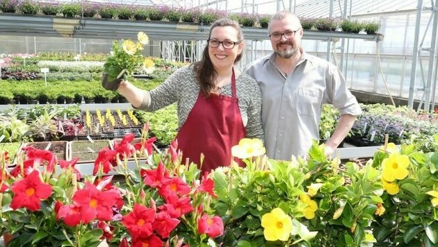 Blumenhändler wie Andrea und Josef Kaiser aus Frauenkirchen freuen sich schon auf ihre Kunden und beraten diese gerne bei der Auswahl. (Bild: Reinhard Judt)