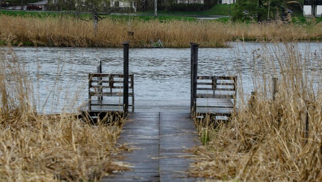 Ob heuer ein öffentlicher Betrieb möglich sein wird, steht noch nicht fest. Die Öffentlichkeit hat zurzeit keinen Zugang zum Goldegger See. Die Verhandlungen laufen weiter. (Bild: Gerhard Schiel)