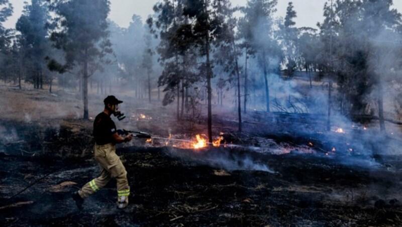 Ein israelischer Feuerwehrmann versucht ein durch Brandballons aus dem Gazastreifen ausgelöstes Feuer zu löschen. (Bild: AP)