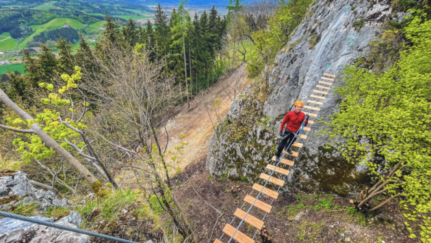 Die Seilbrücke begeistert mit toller Aussicht. (Bild: Hannes Wallner)