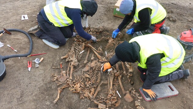Skelette von Soldaten wurden bei den Grabungen in der Seestadt Aspern entdeckt (Bild: Stadtarchäologie Wien)
