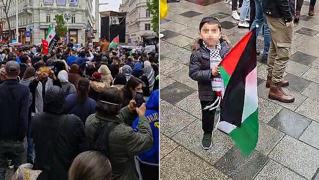 Die Demo auf der Mariahilfer Straße am Mittwochnachmittag. Auch Kinder waren bei der Kundgebung anwesend. (Bild: facebook.com/abdulhkeem.alshater)