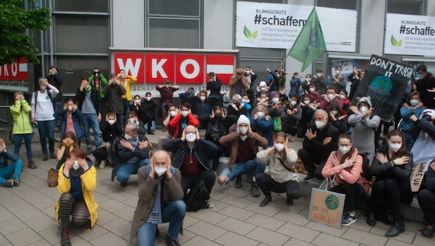 Das Motto der von Fridays for Future organisierten Demos: „WKÖ Against Future - Nix sehen, nix hören, nur blockieren“. (Bild: Fridays for Future)