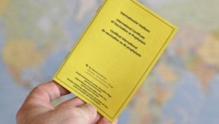 Fachleute haben am Mittwoch ein Gratis-Impfprogramm für Erwachsene gefordert. (Bild: APA/Hans Punz)