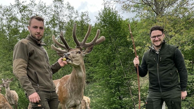 Martin Möstl (links) und Florian Sattler begannen Ende 2020 mit der Zucht von ihrem „Grazer Wild“. (Bild: Grazer Wild)