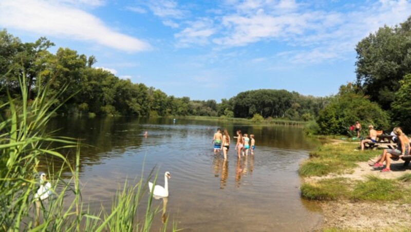 Ein Naturbadeplatz in der Lobau. (Bild: MA 49/Fürthner)