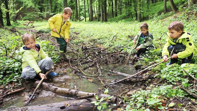 Genau durch diesen Naturspielplatz der Kinder sollen später Autos und Lastwägen durchrasen. (Bild: GabrieleMoser)