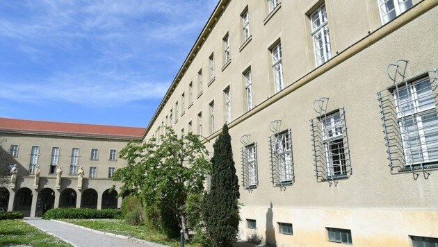 Im Landesgericht in Krems an der Donau musste sich der pädophile Schweizer verantworten (Bild: P. Huber)