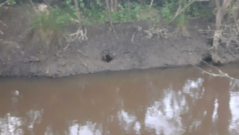 Dämme wurden beseitigt. Das Problem, dass der Eingang zur Biberburg nicht mehr unter Wasser liegt, wird rasch gelöst. (Bild: Privat)