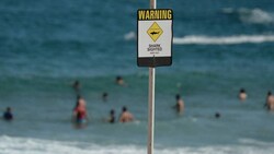 Von Schildern, die vor Haien warnen, lassen sich nicht alle Badegäste abschrecken. (Bild: AFP)
