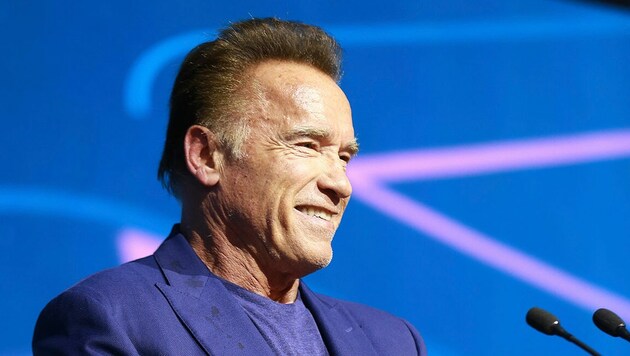 (Bild: The Schwarzenegger Climate Initiative)