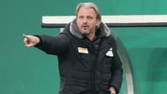 Hartberg-Trainer Markus Schopp (Bild: Urbantschitsch Mario)