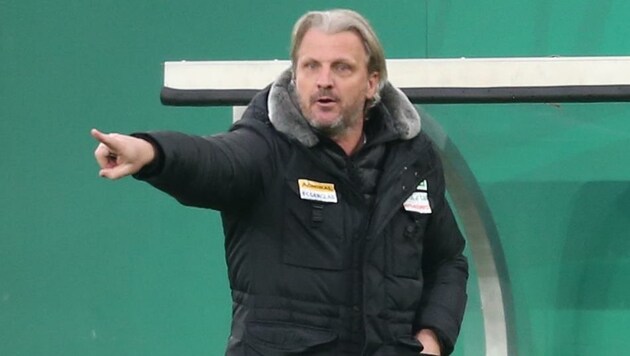 Hartberg-Trainer Markus Schopp (Bild: Urbantschitsch Mario)