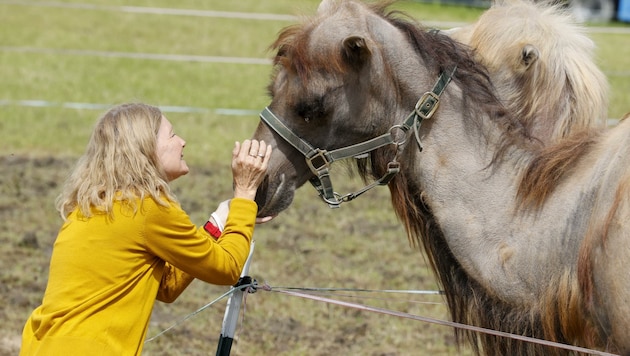 Ursula Egger reiste aus extra Nussdorf an um die Tiere des Zirkus streicheln und füttern zu können (Bild: Tschepp Markus)