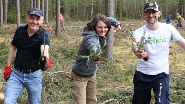 Das Kernteam von „Waldsetzen.jetzt“: Thomas Göttinger, Viktoria Hutter und Manfred Ergott (Bild: Plattform Waldsetzen.jetzt)