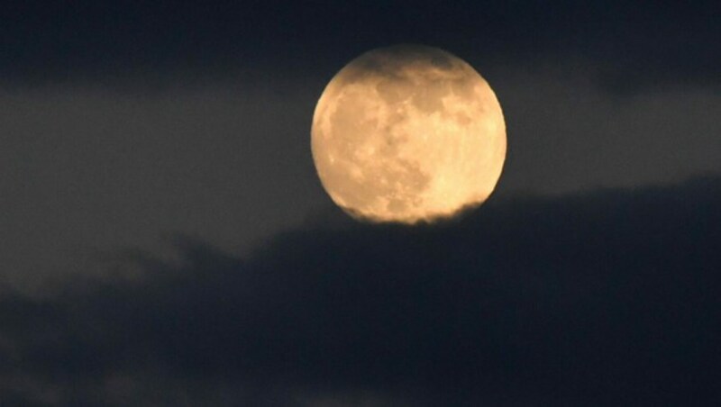 Der Vollmond in der Nacht auf Mittwoch über Salzburg (Bild: APA/Barbara Gindl)