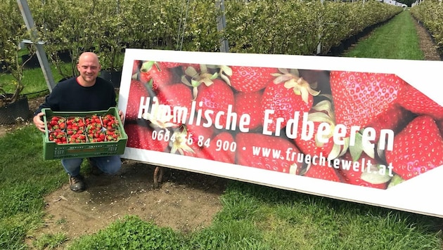 In der Ebenthaler Früchtewelt gibt´s bereits Erdbeeren (Bild: zVg/Matschnig)