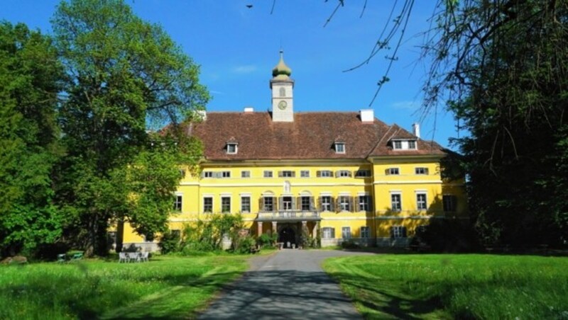 Am 19. Juni wird das runde Jubiläum des Festivals im Schlosspark Poppendorf groß gefeiert. (Bild: Pail Sepp)