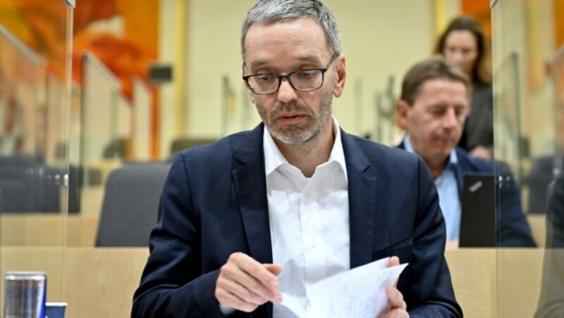 FPÖ-Klubchef Kickl gilt für einige in der Partei als logische Nachfolge Hofers. (Bild: APA/HERBERT NEUBAUER)