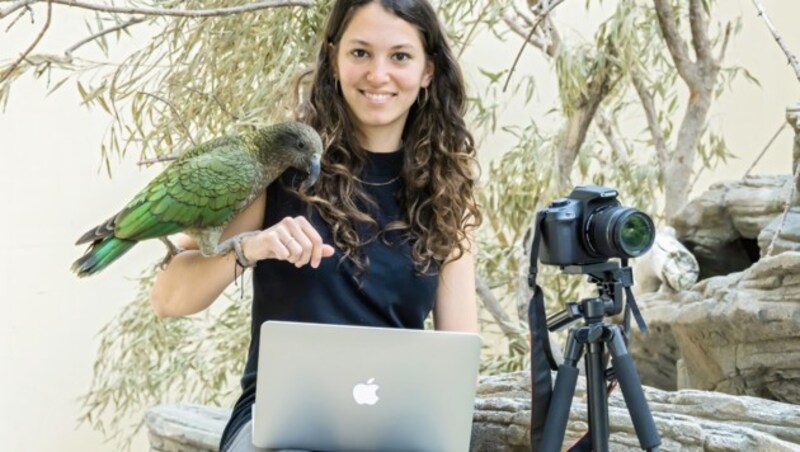 Biologin Margarita Hartlieb beobachtete die Tiere für die weltweite Gähnstudie im Schönbrunner Zoo (Bild: Daniel Zupanc )