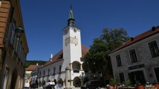 Empörung bei Gemeinderatssitzung im niederösterreichischen Gumpoldskirchen (Bild: P. Huber)
