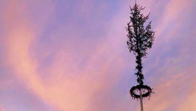 Der Maibaum von St. Martin bei Ruden. (Bild: Mario Londer)