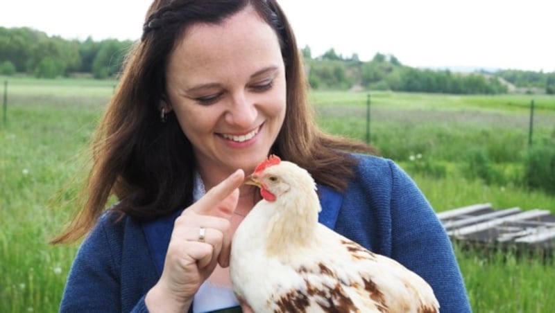 Nicole Kolm zieht mit ihrem Stefan bei Schrems Biogockel auf. (Bild: GabrieleMoser)