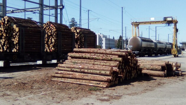 In Umladebahnhöfen soll das Holz zumindest für den Transport über die Grenze auf die Schiene gebracht werden. (Bild: Wetzikon/Christophorus77)