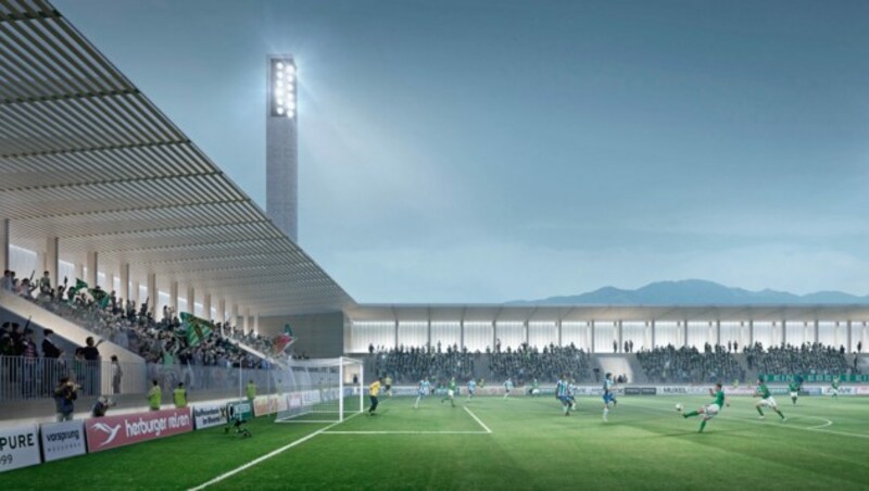 So soll das Reichshofstadion aussehen. (Bild: Bernardo Bader Architekten)