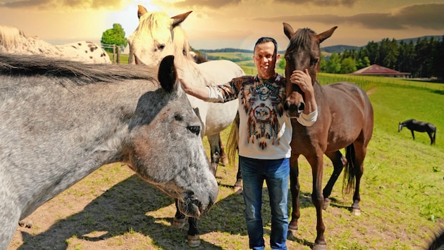 Johannes Wagner mit seinen wunderschönen Pferden (Bild: Pail Sepp)