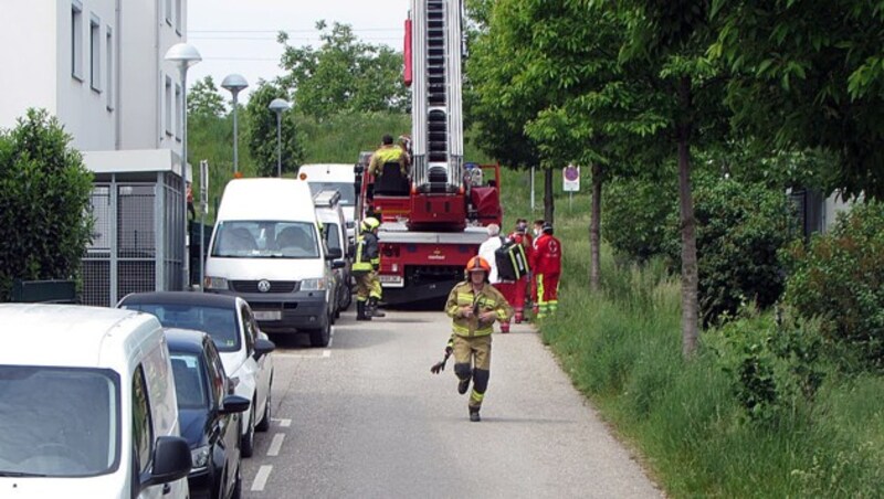 (Bild: FF Mistelbach-Stadt)