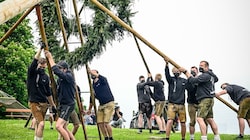 Die Steinbrucher Maibaum-Crew stellte den Baum auf. (Bild: Alexander Schwarzl)