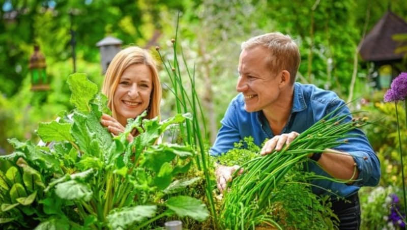 Stefanie Hertel mit Stefan Weinberger beim Kräuterpflücken im Garten von Karl Ploberger (Bild: Alexander Schwarzl)