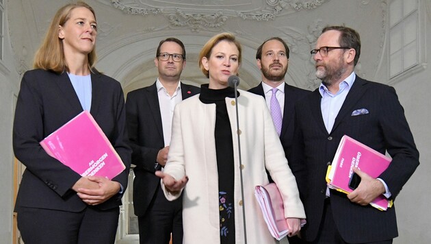 Von links nach rechts.: Andrea Klambauer, Nick Donig, NEOS-Chefin Beate Meinl-Reisinger, Nikolaus Scherak und Sepp Schellhorn - das Team der NEOS wird nun kräftig umgebaut. (Bild: APA/HERBERT NEUBAUER)