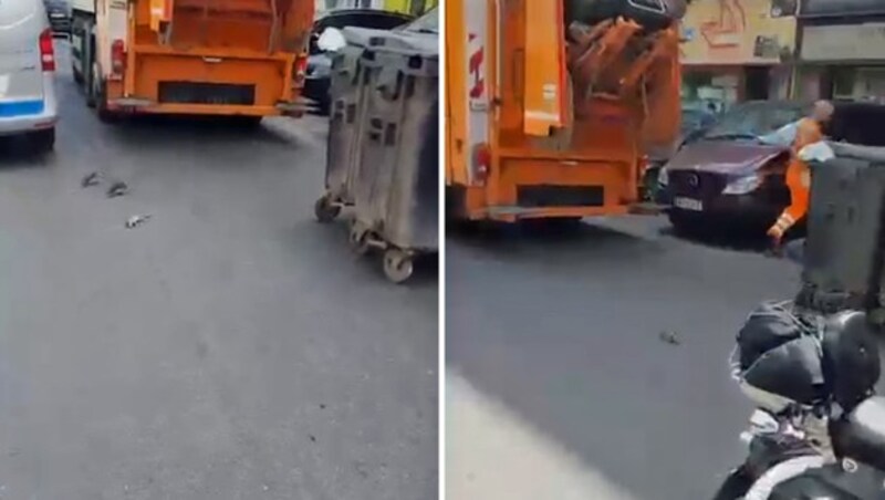 Eine ganze Ratten-Horde purzelte und sprang aus dem Lastwagen, als eine der Mülltonnen in Wien-Brigittenau entleert wurde. Ein MA-48-Mitarbeiter zog den Kopf ein. (Bild: Christian Schulter)