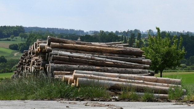 Die Holzpreise steigen seit Corona. (Bild: P. Huber)