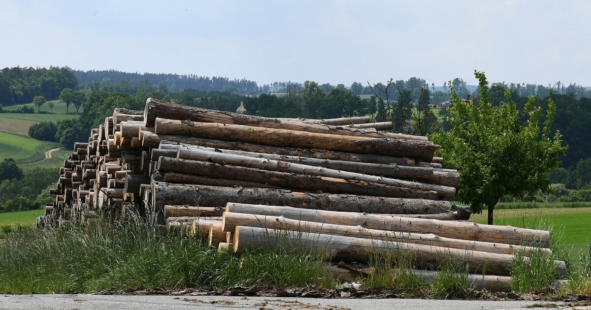 Kosten Explodieren - Petition Gegen Die Steigenden Holzpreise | Krone.at