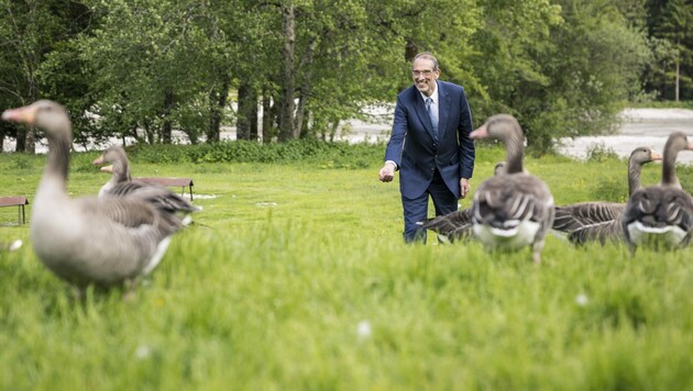 Minister Heinz Faßmann zu Besuch bei den Graugänsen von Konrad Lorenz (Bild: Max Mayrhofer)