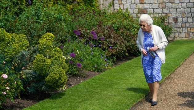 Queen Elizabeth II. verbringt den 100. Geburtstag ihres verstorbenen Mannes auf Schloss Windsor, wo sie eine Rose zu seinen Ehren pflanzen ließ. (Bild: APAPA/Steve Parsons/Pool via AP)