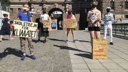 Greta Thunberg ist wieder vor dem Parlament anzutreffen. Zuletzt hatte sie von zu Hause aus protestiert. (Bild: Twitter.com/GretaThunberg)